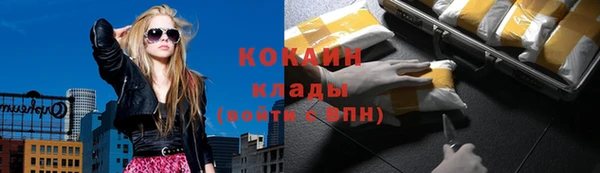 ГАЛЛЮЦИНОГЕННЫЕ ГРИБЫ Кодинск