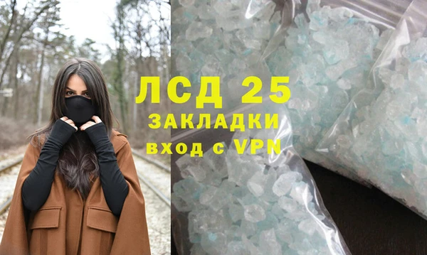 ГАЛЛЮЦИНОГЕННЫЕ ГРИБЫ Кодинск