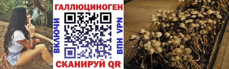 Галлюциногенные грибы мицелий Купить Каменка